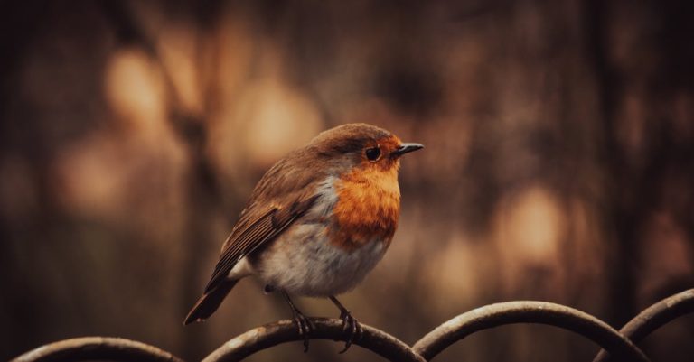 Discover the 10 Best Dive Bars in Chicago: Affordable Drinks & Unpretentious Charm