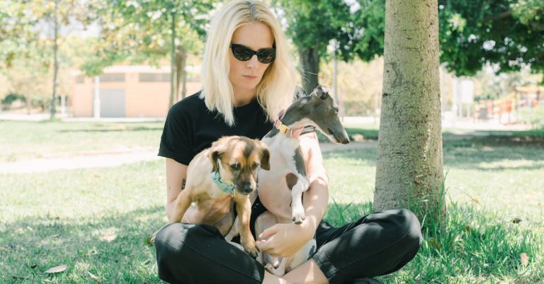 10 Best Artificial Grass for Dogs: Durable, Safe, and Low-Maintenance Options