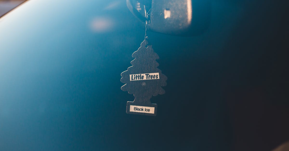 10 Best Air Freshener Plug-Ins for a Fresh and Inviting Home