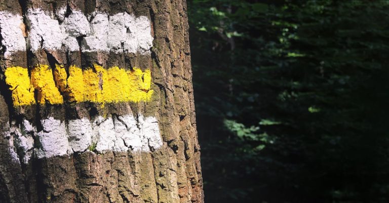 10 Best Paint Markers: Top Picks for Vibrant Colors, Durability, and Versatility