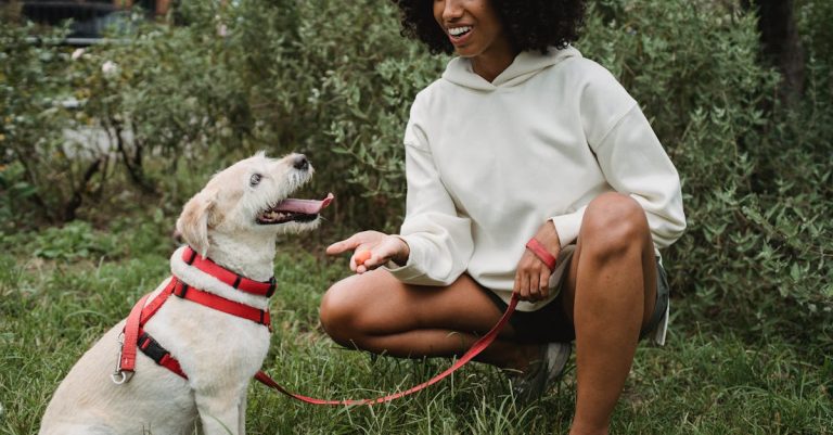 10 Best Dog Food for Small Breed Dogs: Top Picks for Optimal Health and Nutrition