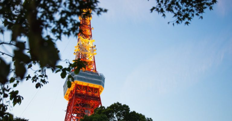 10 Best Rated Outdoor TV Antennas for Free Local Channels in 2024