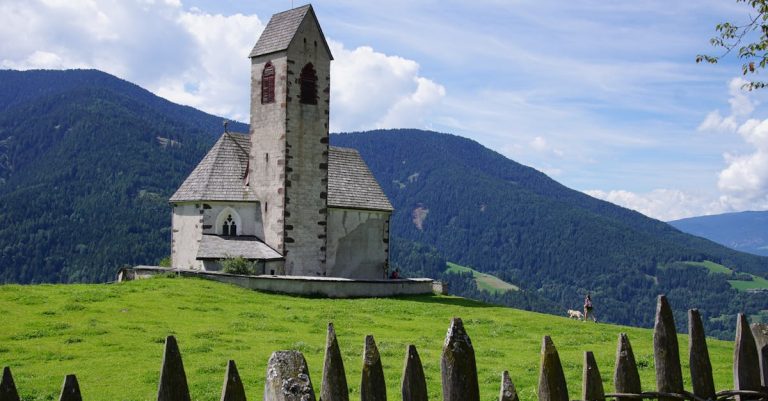 10 Best Dremel Tools for Dog Nails: Top Picks for Safe and Easy Grooming