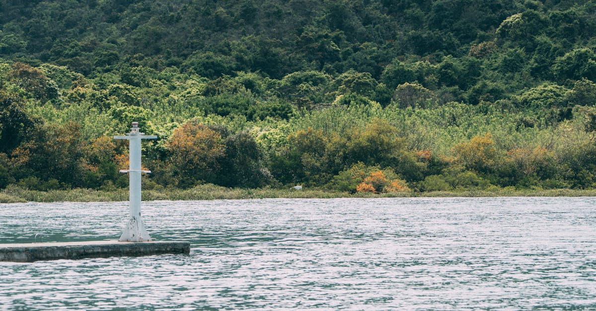 10 Best Post Pregnancy Pads for Comfort and Protection in 2024 10 Best Post Pregnancy Pads for Comfort and Protection in 2024