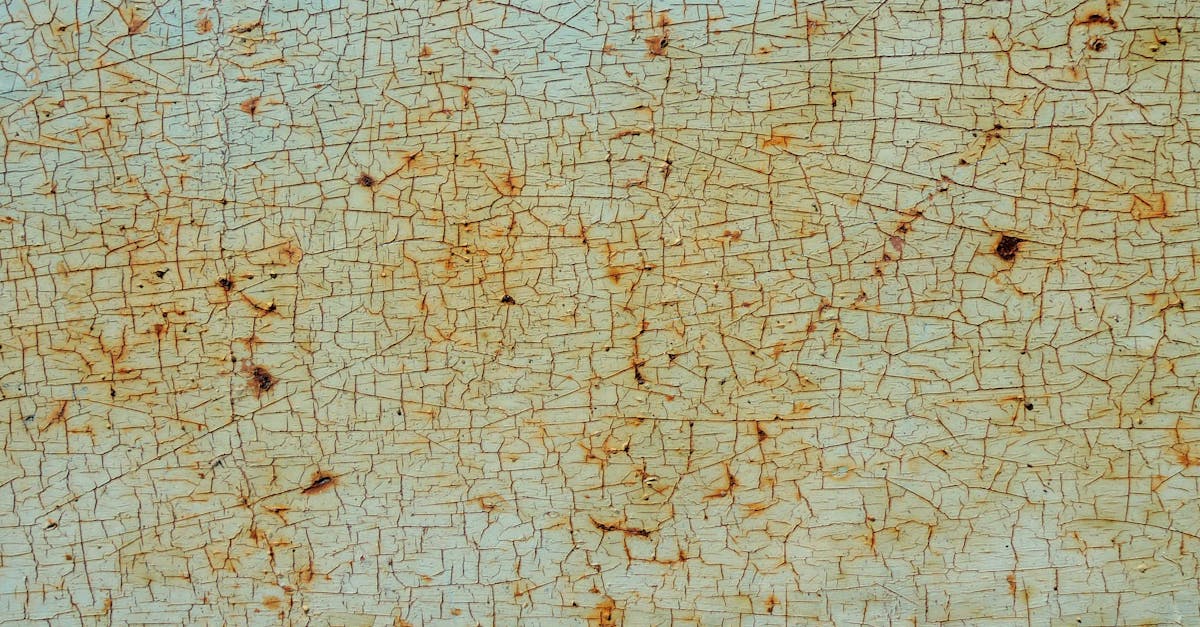 10 Best Rust Reformers: Top Picks for Effective Rust Removal and Prevention