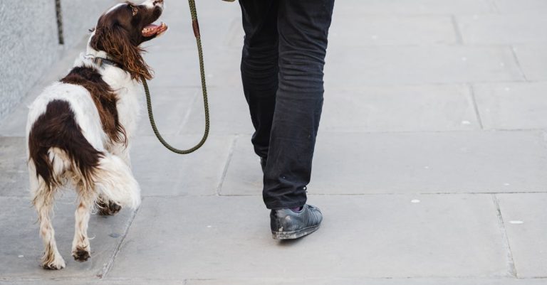 10 Best Brown Spot Correctors for Clear, Even-Toned Skin in 2024