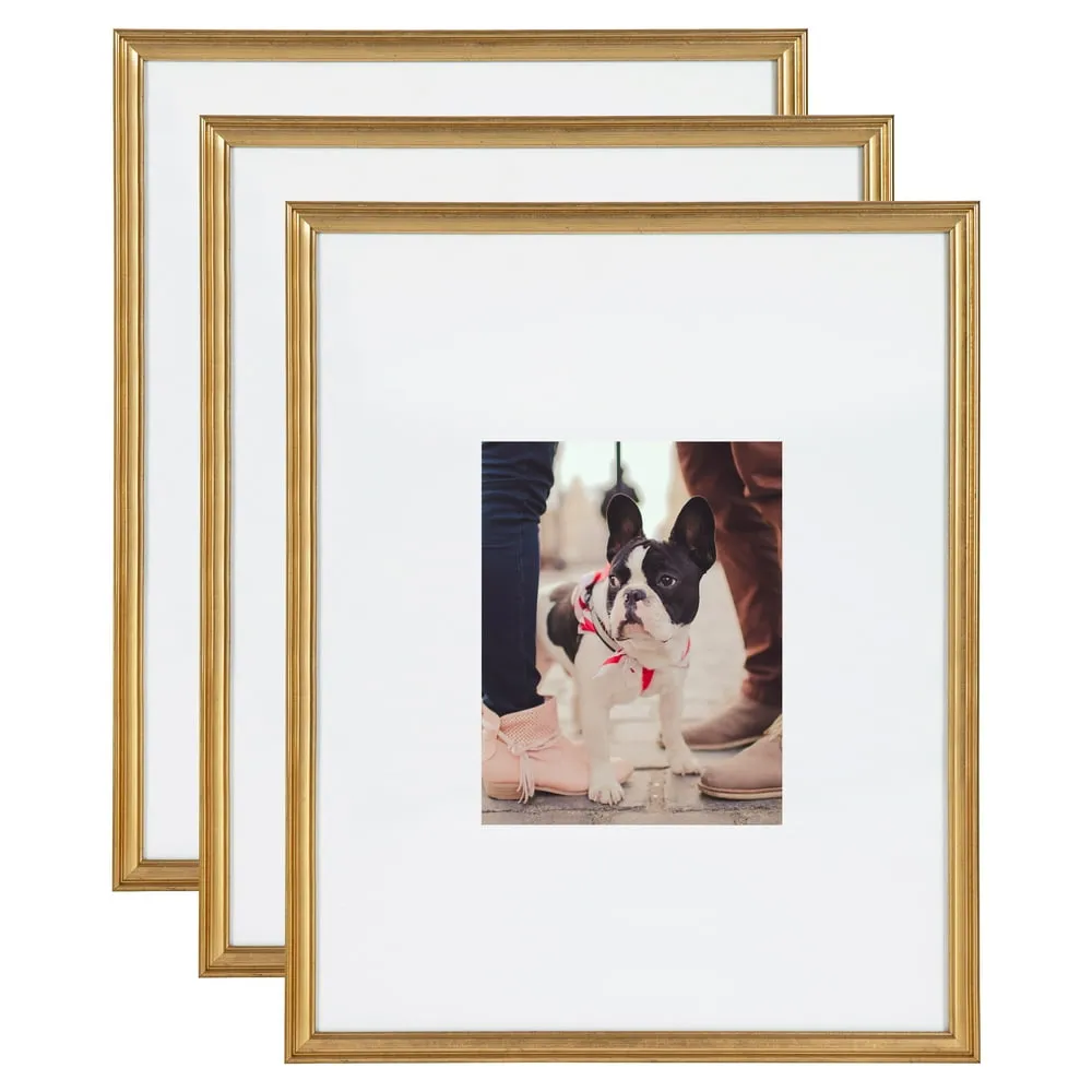 10 Best 16×20 Frames: Top Picks for 2024 to Showcase Your Art 10 Best 16×20 Frames: Top Picks for 2024 to Showcase Your Art