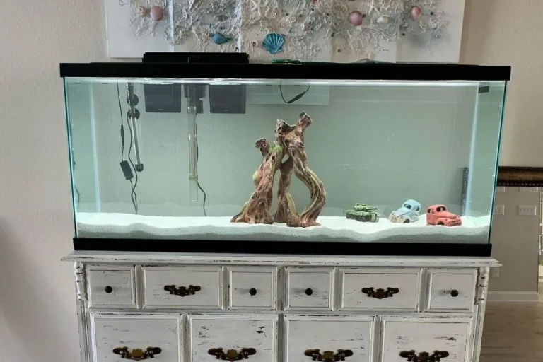 10 Best 50 Gallon Fish Tanks for 2024: Top Picks for Your Aquatic Paradise 10 Best 50 Gallon Fish Tanks for 2024: Top Picks for Your Aquatic Paradise