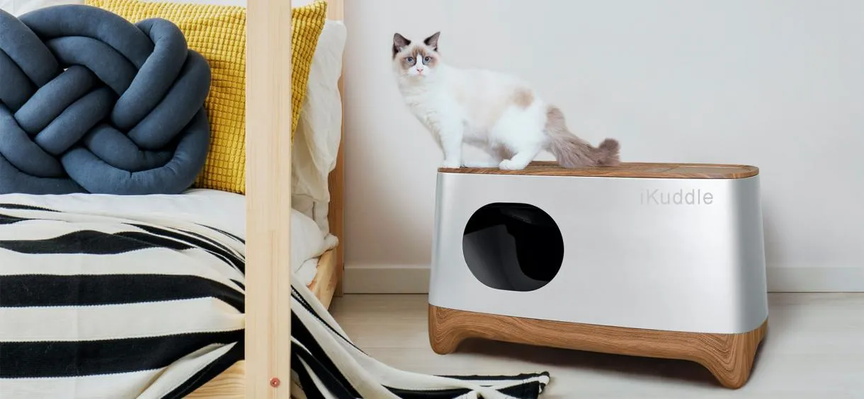 10 Best Automatic Cat Boxes for Effortless Litter Cleaning in 2024 10 Best Automatic Cat Boxes for Effortless Litter Cleaning in 2024