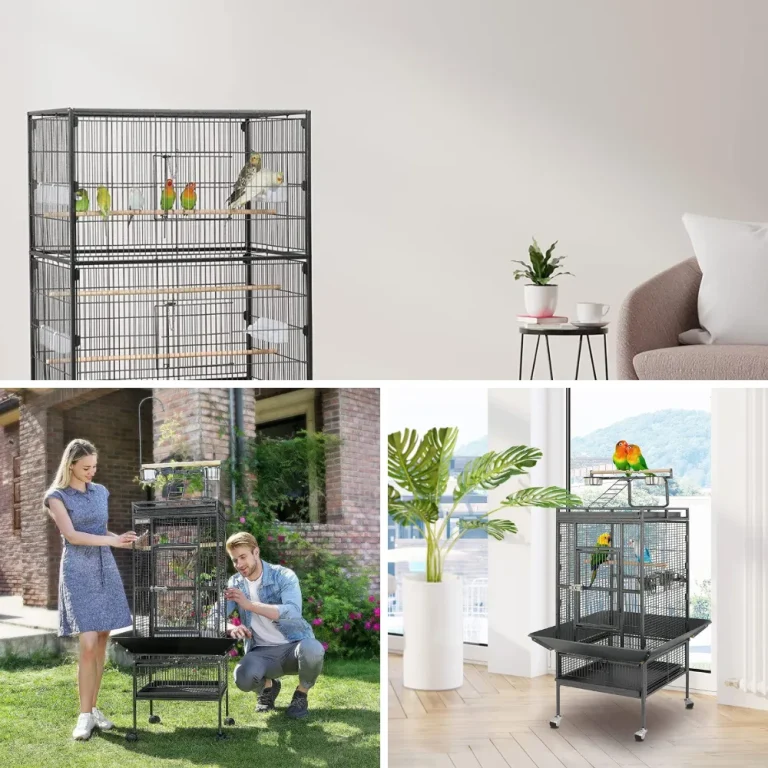 10 Best Bird Cage 10 Best Bird Cage