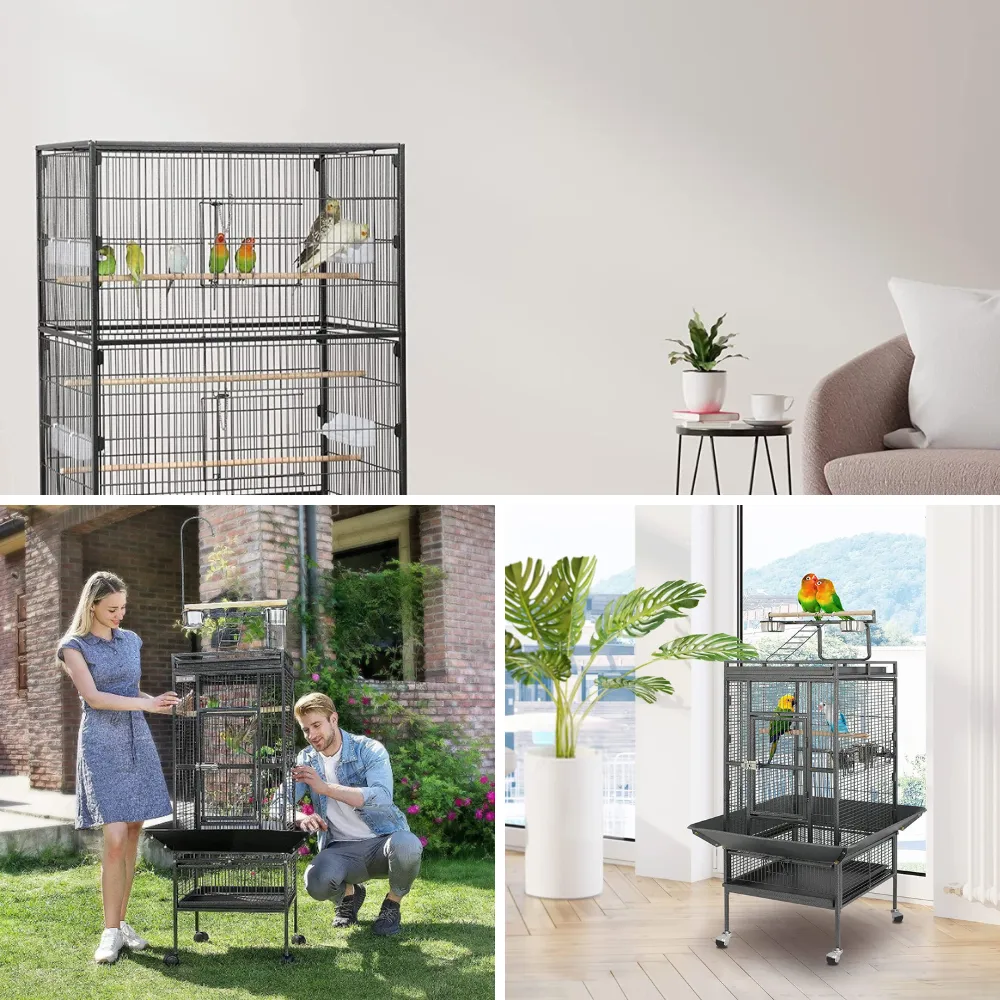 10 Best Bird Cage 10 Best Bird Cage