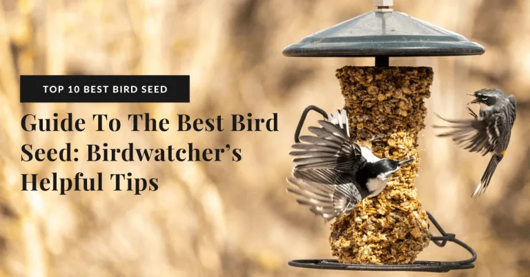 10 Best Bird Seed Products for 2024: Top Picks for Happy Birds!