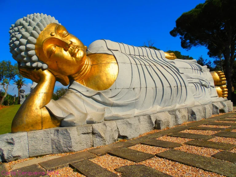 10 Best Buddha Statues for Serenity and Style: Top Picks for 2024 10 Best Buddha Statues for Serenity and Style: Top Picks for 2024