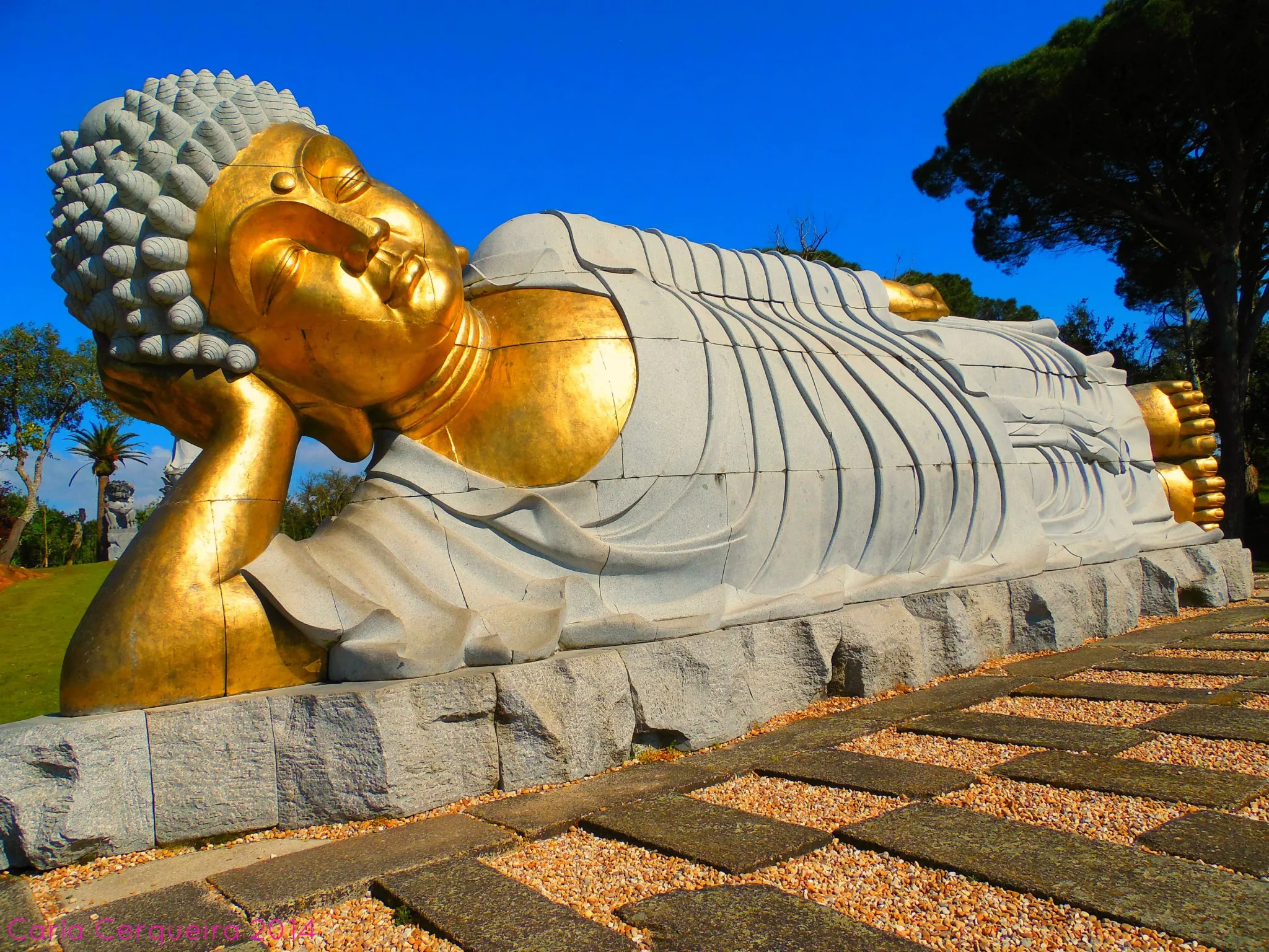10 Best Buddha Statues for Serenity and Style: Top Picks for 2024 10 Best Buddha Statues for Serenity and Style: Top Picks for 2024