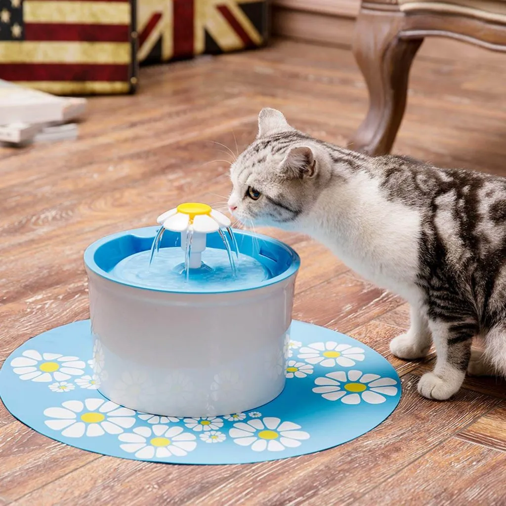 10 Best Rated Cat Water Fountains: Top Picks for 2024