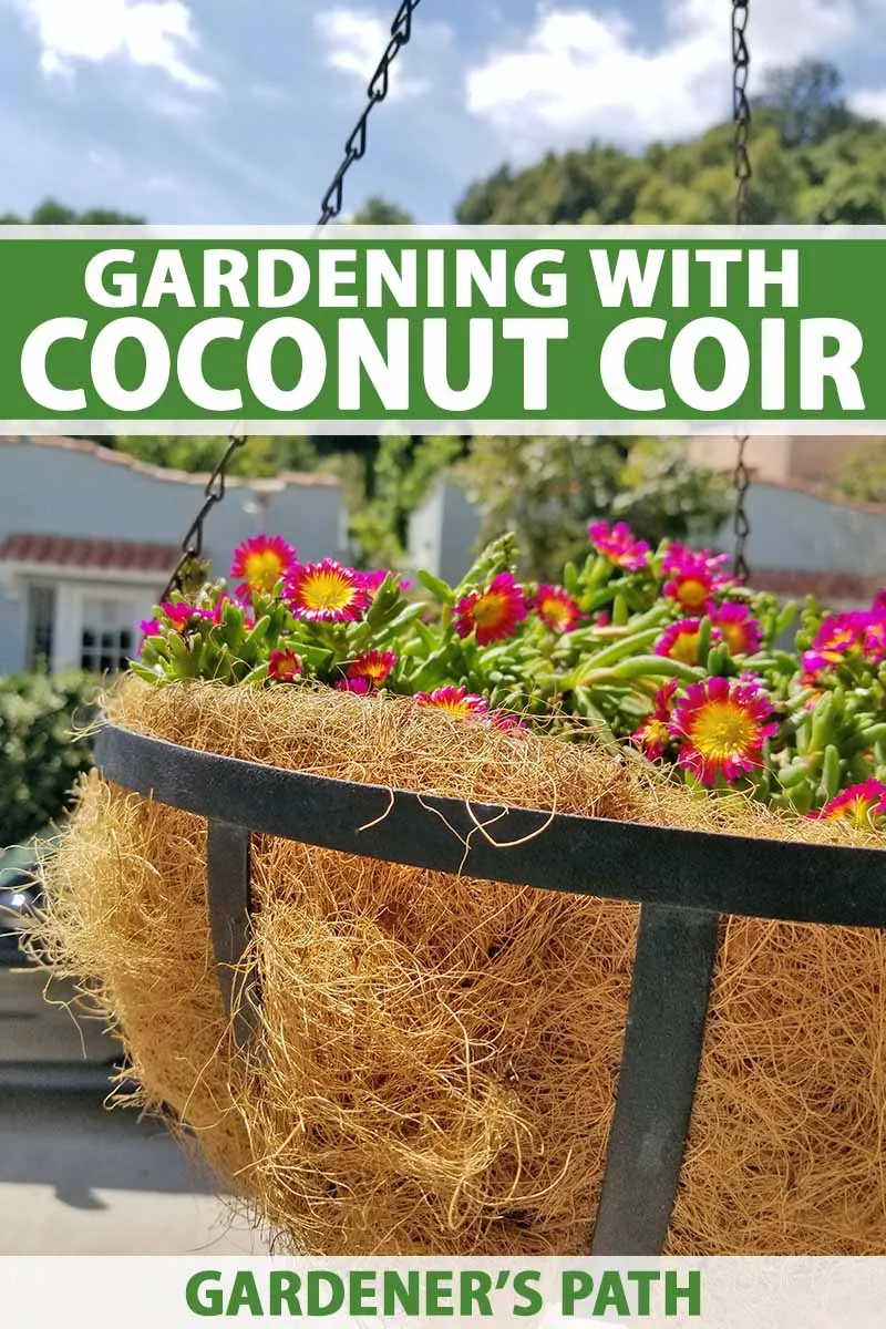 10 Best Coconut Coir Products to Boost Your Gardening in 2024