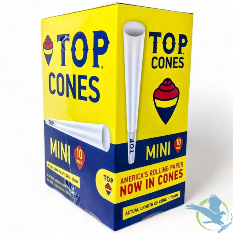 10 Best Cones: Top Cone Products to Try in 2024