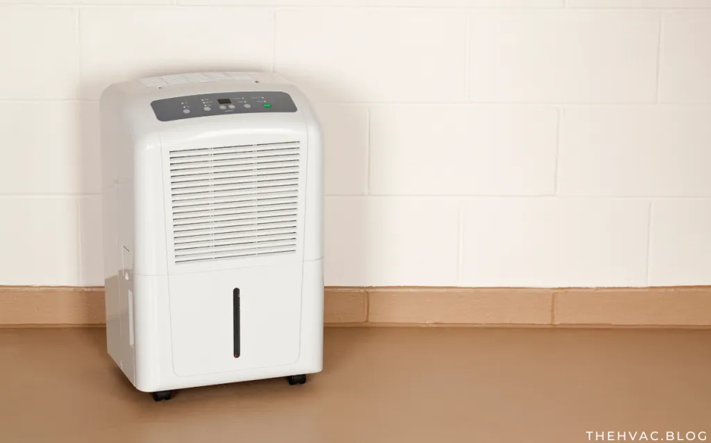 10 Best Dehumidifiers for Basement 2024: Top Picks for a Dry Space