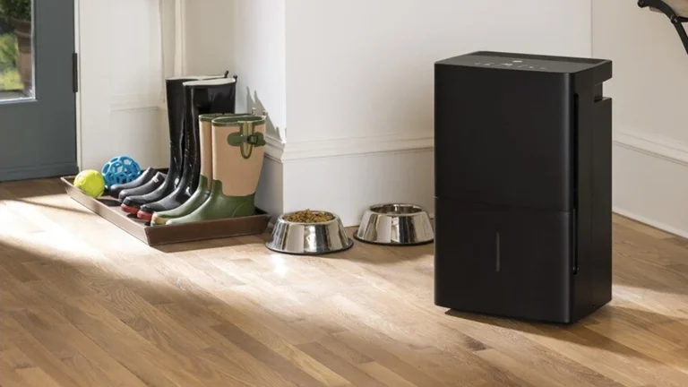 10 Best Dehumidifiers for Basements: Top Picks for 2024