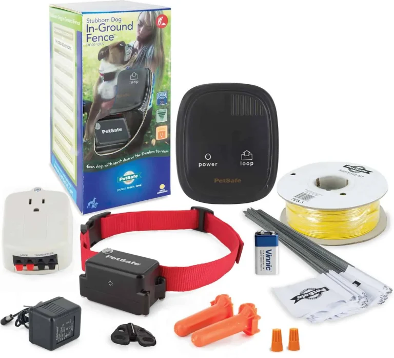 10 Best Electric Fences for Dogs: Top Choices for 2024 Pet Safety 10 Best Electric Fences for Dogs: Top Choices for 2024 Pet Safety