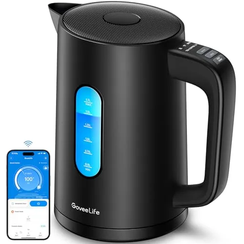 10 Best Electric Kettles with Temperature Control for 2024