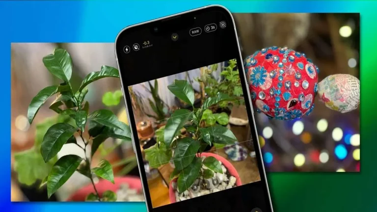 10 Best Free Android Apps to Identify Weeds and Grasses in 2024