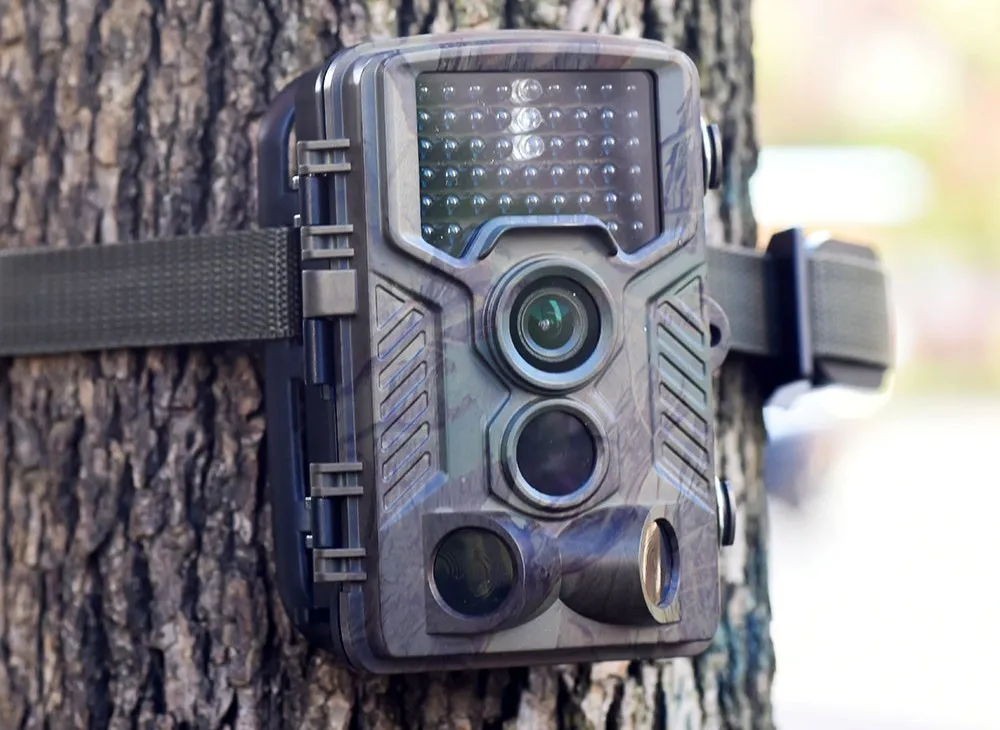 10 Best Game Cameras for 2024: Top Picks for Hunting and Wildlife Watching 10 Best Game Cameras for 2024: Top Picks for Hunting and Wildlife Watching