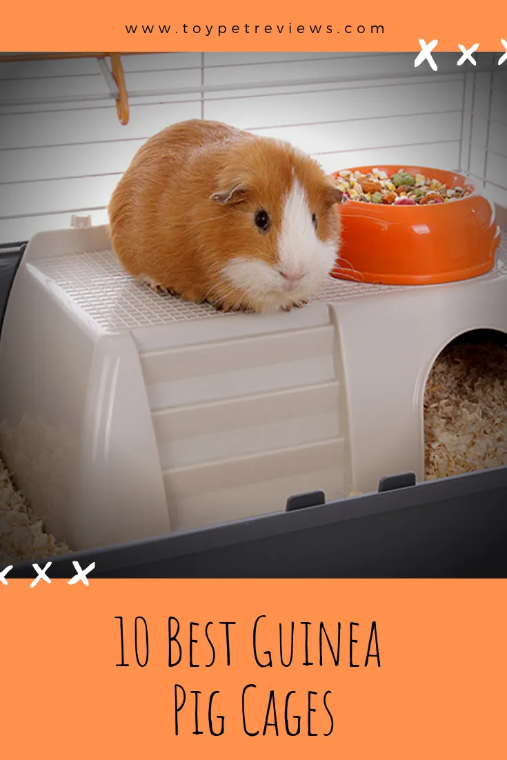 10 Best Guinea Pig Cages in 2024: Top Picks for Happy Pets 10 Best Guinea Pig Cages in 2024: Top Picks for Happy Pets