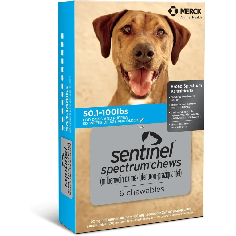 10 Best Heartworm Medicines for Dogs in 2024: Top Products Reviewed