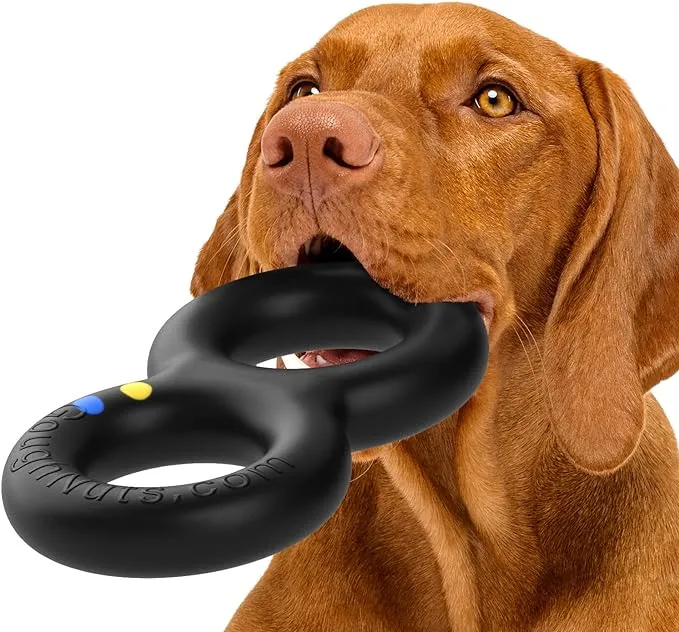 10 Best Indestructible Dog Toys of 2024: Top Picks for Tough Chewers
