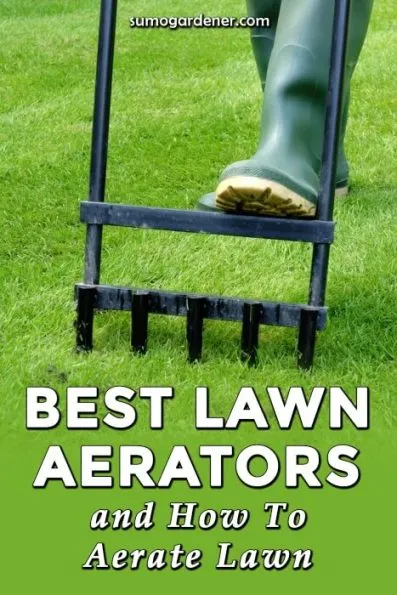 10 Best Lawn Aerators for a Healthier Lawn in 2024