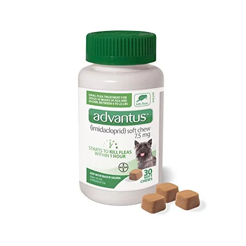 10 Best Over the Counter Flea Treatments for Dogs in 2024