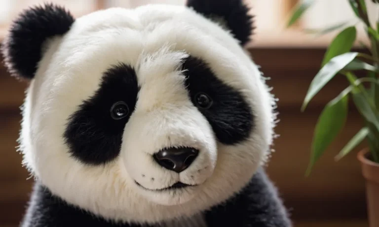 10 Best Pandas to Buy in 2024: Top Picks for Your Collection 10 Best Pandas to Buy in 2024: Top Picks for Your Collection