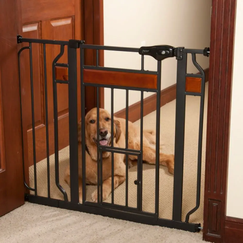 10 Best Pet Gates of 2024: Top Products for Your Furry Friends