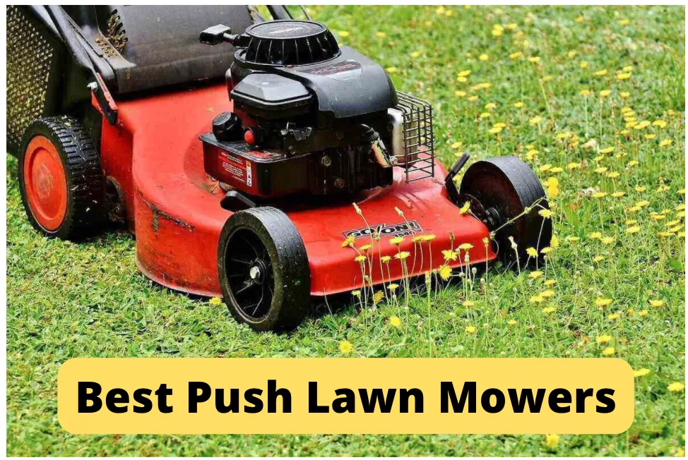 10 Best Push Mowers of 2024: Top Picks for Effortless Lawn Care