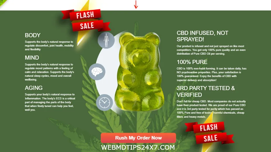 10 Best Shark Tank Gummies: Top Picks for 2024 You Can’t Miss!