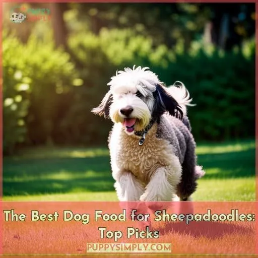 10 Best Sheepadoodle Products for 2024: Top Picks and Reviews