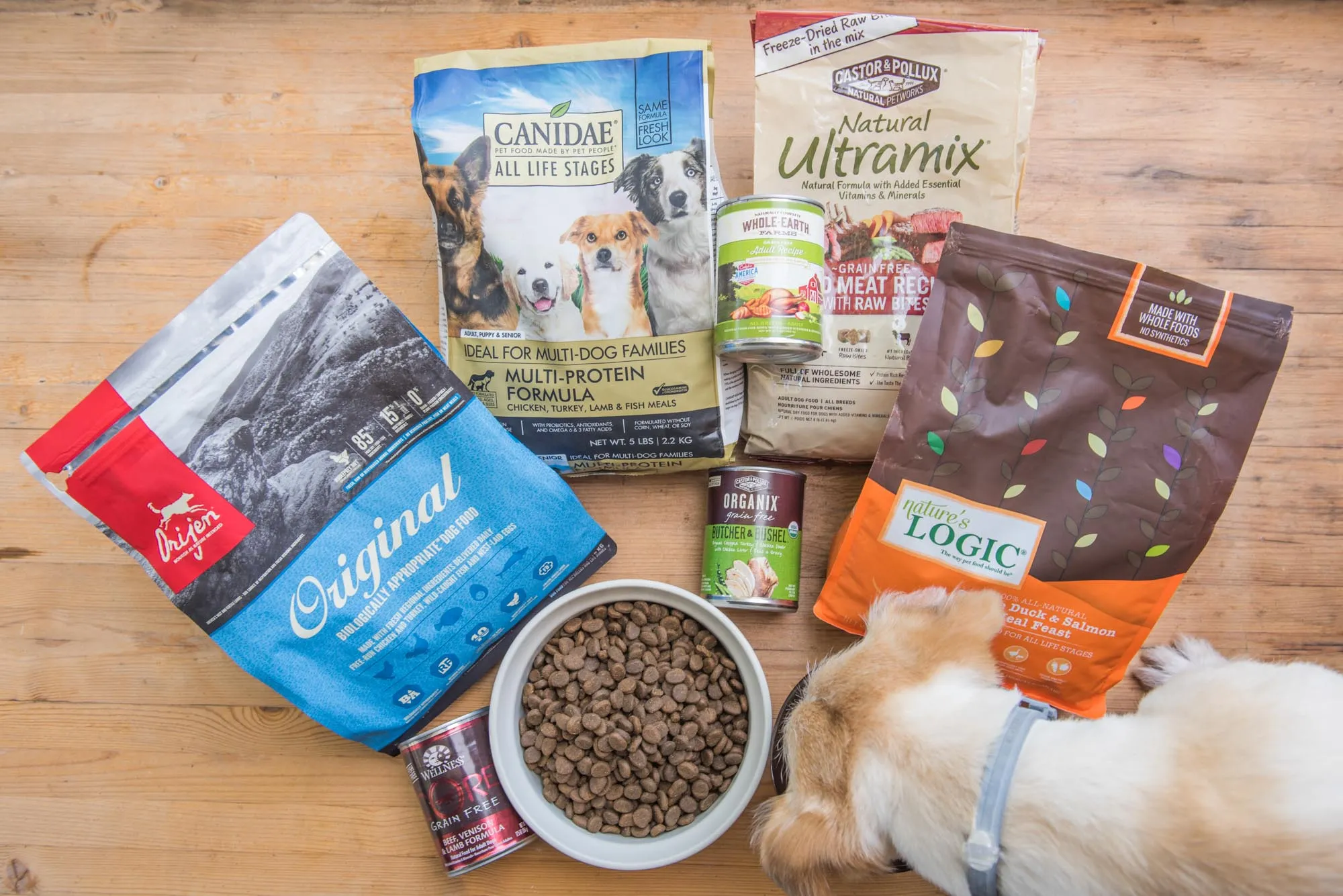 10 Best Dog Foods of 2024: Top Picks for Your Furry Friend
