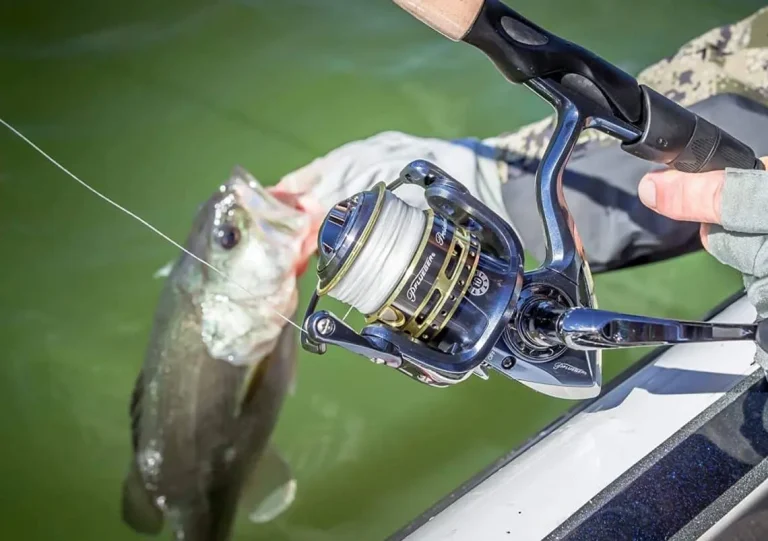 10 Best Spinning Reels to Buy in 2024: Top Picks for Anglers 10 Best Spinning Reels to Buy in 2024: Top Picks for Anglers