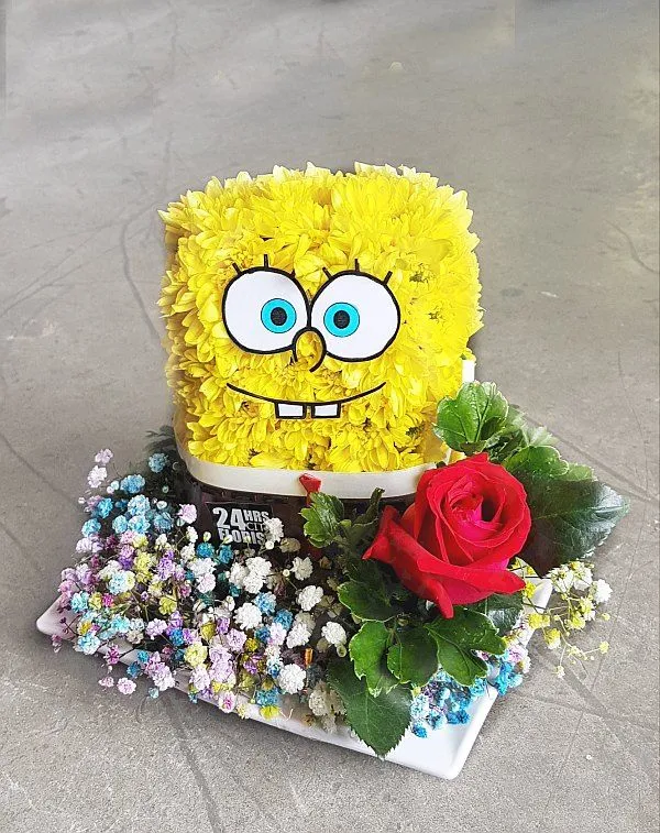 10 Best Spongebob Flowers: Top Picks for 2024 That Will Brighten Your Home 10 Best Spongebob Flowers: Top Picks for 2024 That Will Brighten Your Home