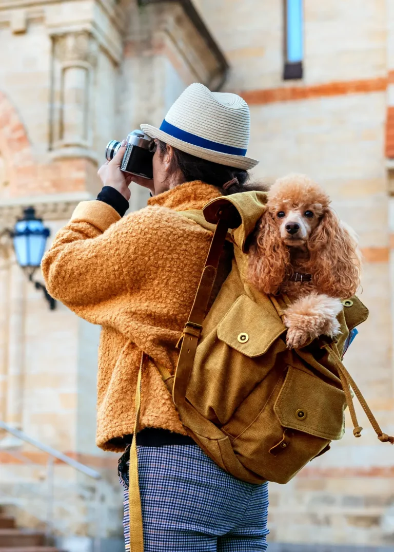 10 Best Travelon Bags for 2024: Top Picks for Your Next Adventure