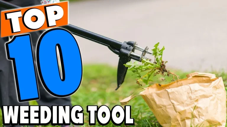 10 Best Weeding Tools for 2024: Top Picks for Effortless Gardening