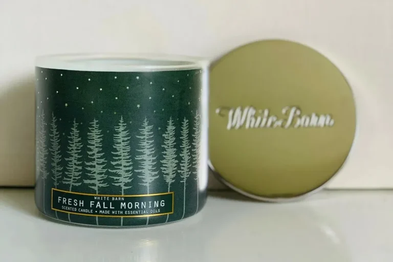 10 Best White Barn Candles for a Cozy Home in 2024