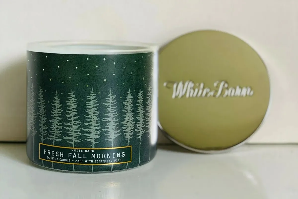 10 Best White Barn Candles for a Cozy Home in 2024