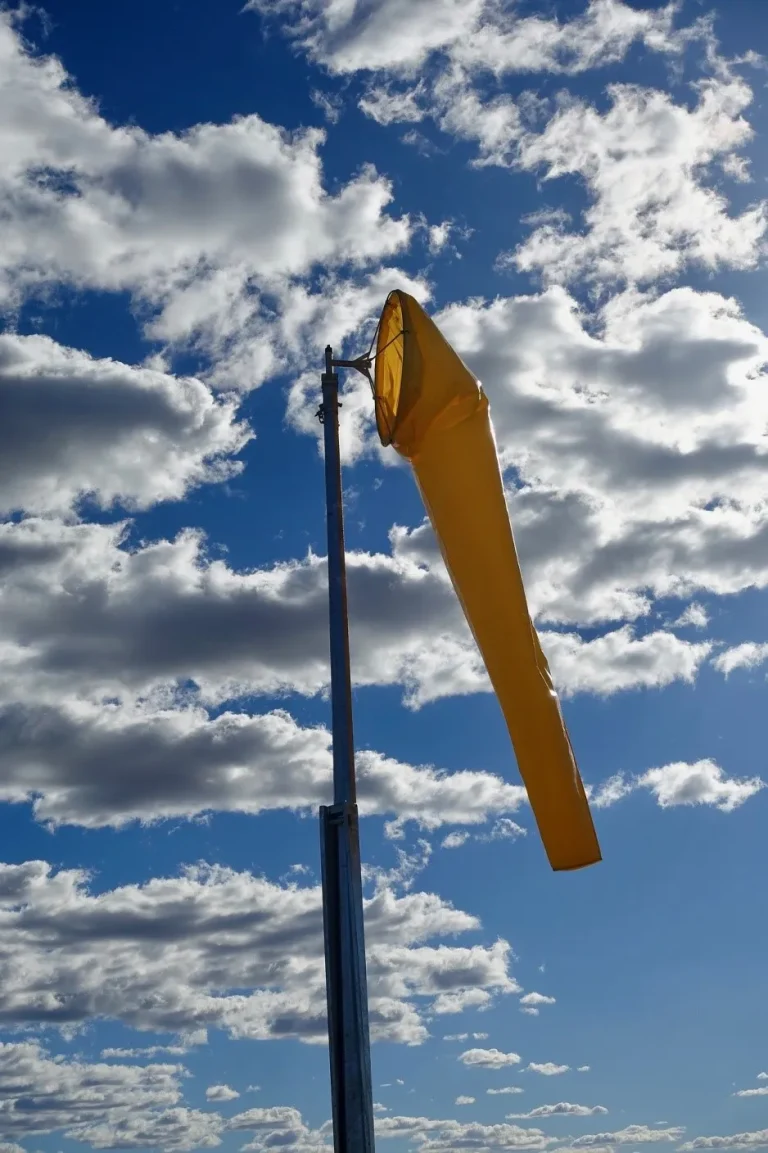 10 Best Windsock 10 Best Windsock
