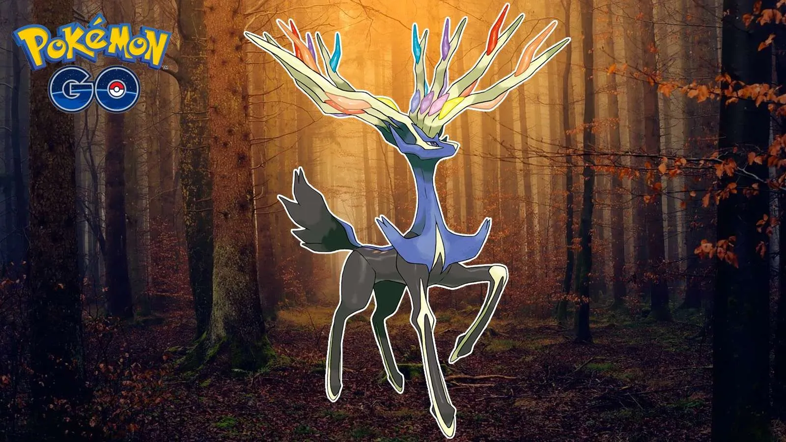 10 Best Xerneas Products for 2024: Ultimate Guide to Top Picks