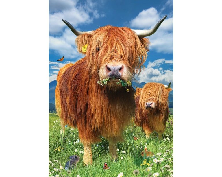 10 Best Highland Cow Products to Buy in 2024 for Ultimate Quality