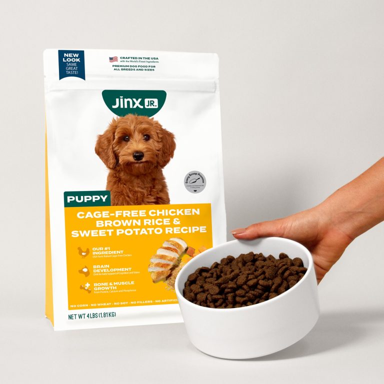 10 Best Affordable Dog Foods for 2024: Quality Nutrition Without Breaking the Bank