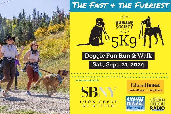 Best Pro Lite Leash: The Ultimate Dog Leash for 2024 Adventures! Best Pro Lite Leash: The Ultimate Dog Leash for 2024 Adventures!