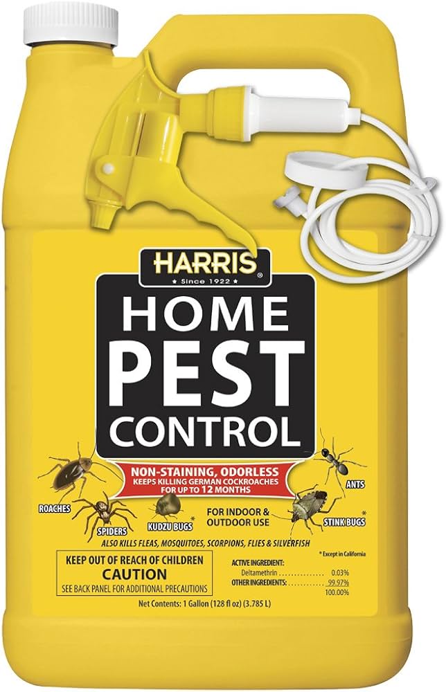 Best Veneno Para Cucarachas: Top Products for Effective Pest Control 2024